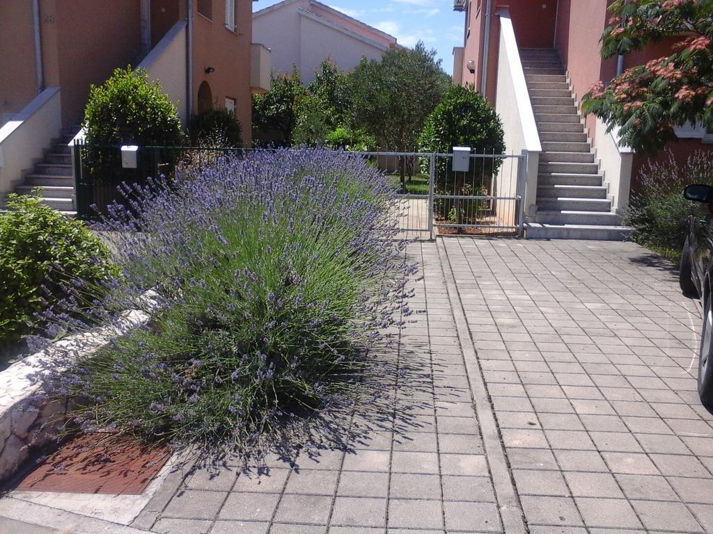 Apartments Danica Vodice Exteriör bild